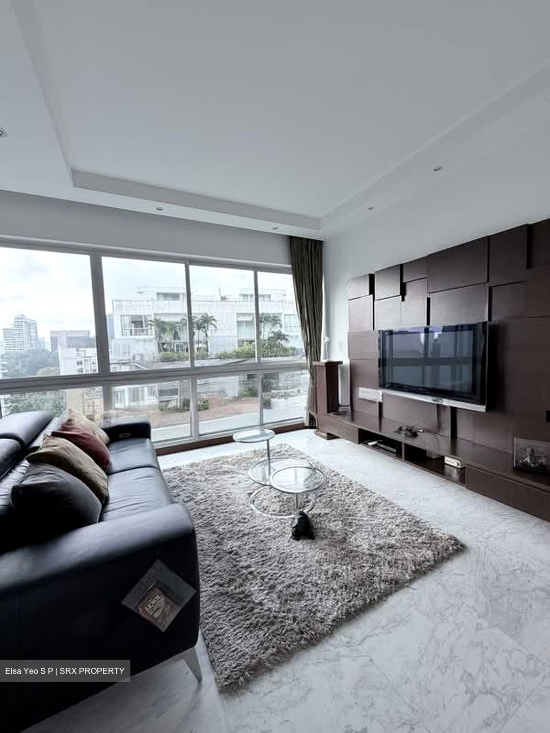 Belmond Green (D10), Condominium #560837091